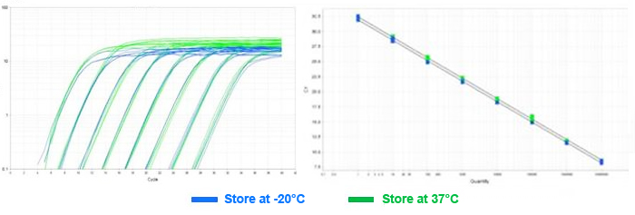 Green qPCR Master Mix